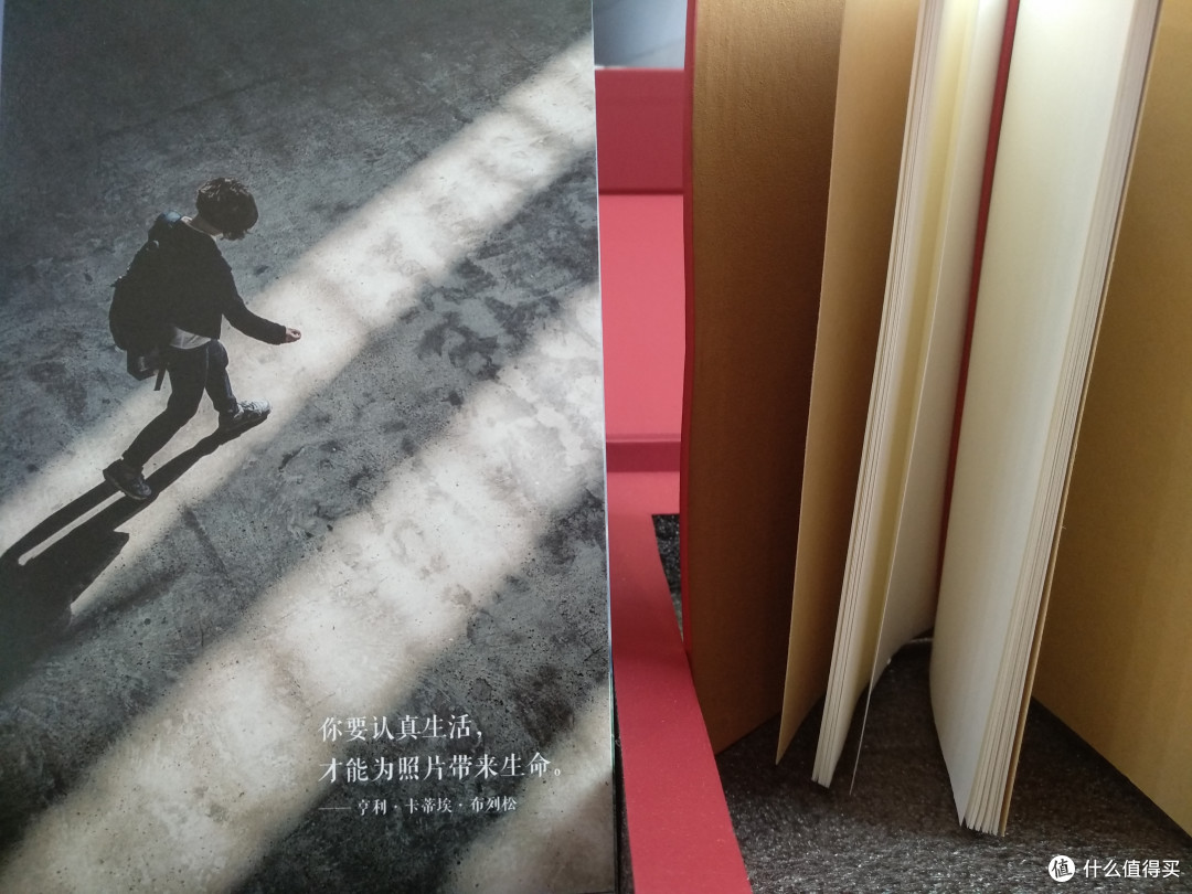 每日心情每日鲜—2019图虫影像历开箱