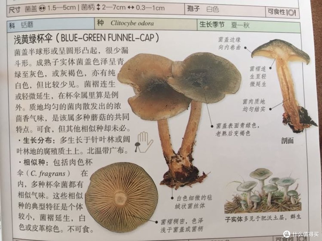 看着一张有毒的脸,结果可以吃哈…