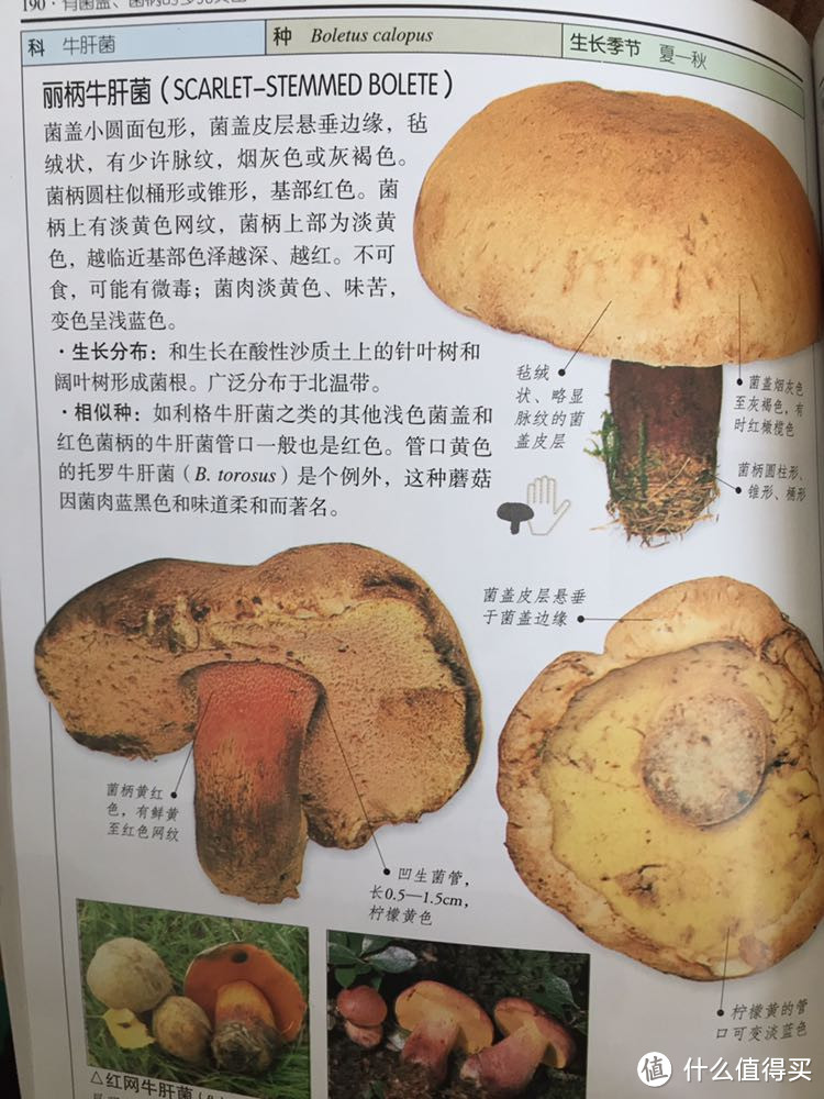 部分能吃,部分嘛,emmm
