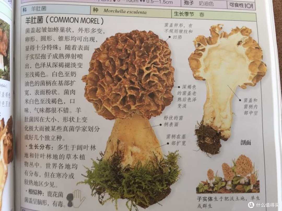 口味、气味都很不错哦亲