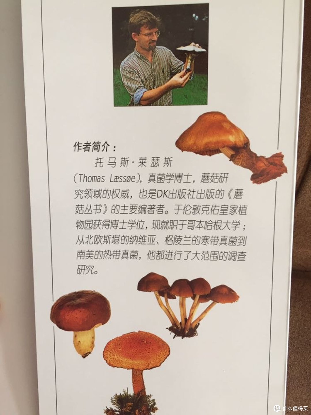 感谢作者!