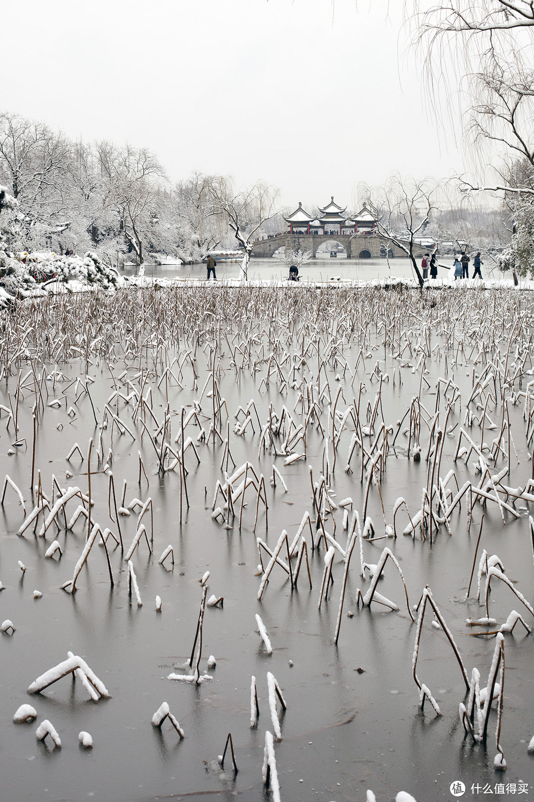 瘦西湖雪景