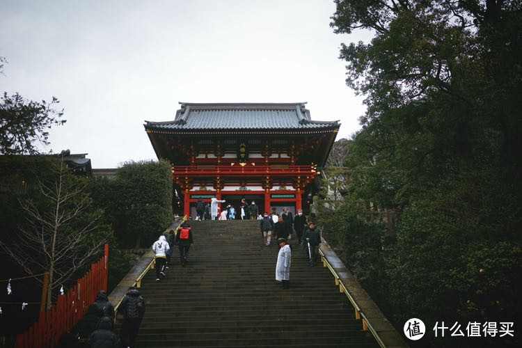 春游东京（镰仓，箱根）