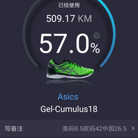 亚瑟士 Gel-Cumulus 18 男士次顶级缓震跑鞋使用总结(鞋底|大底|鞋面|鞋口|脚感)