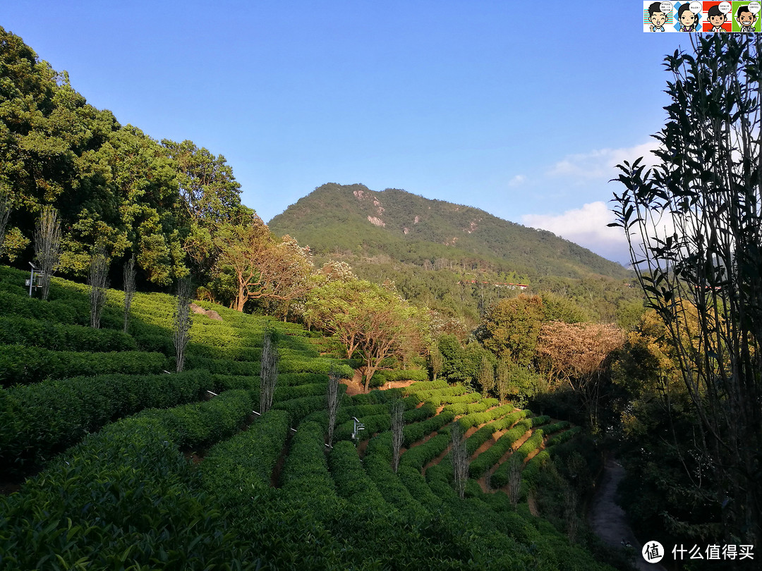 客路青山分外娆。