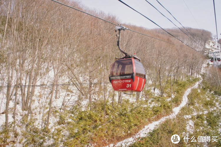 冬季到北海道来看雪