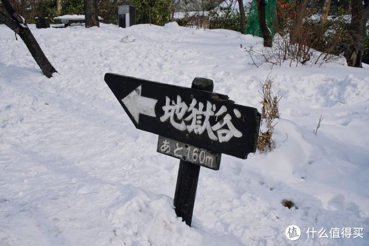 冬季到北海道来看雪