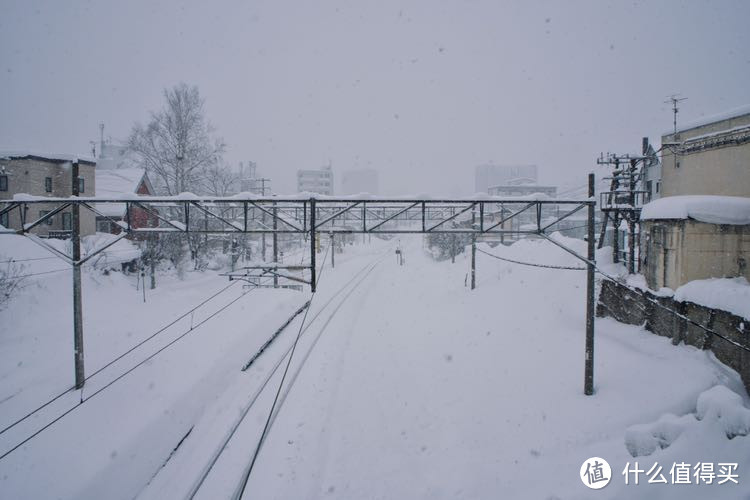 冬季到北海道来看雪