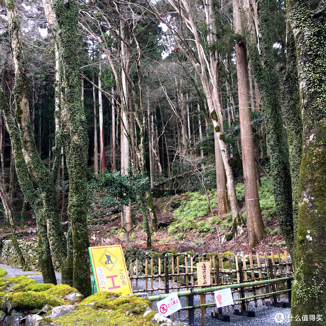 日本京都高雄到清滝以及岚山的徒步体验