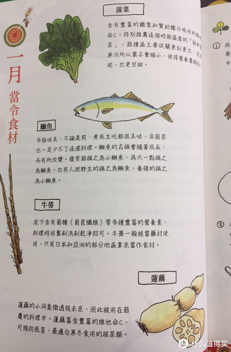 食材介绍，连营养成分都没拉下