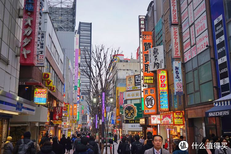 春游东京（镰仓，箱根）