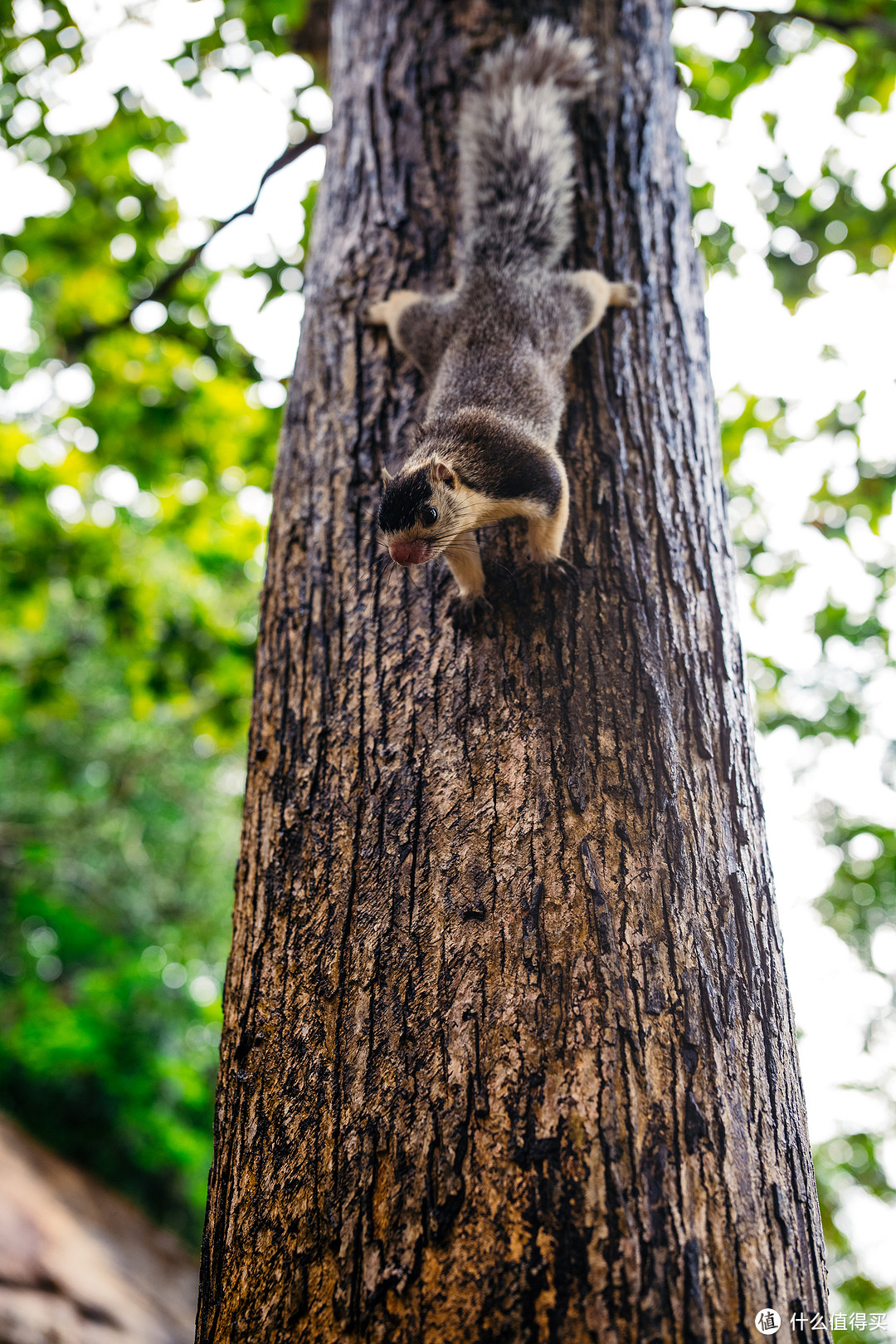 SIGMA 40mm  F 1.4 Art   |     F 2.2  1/800s  ISO 640