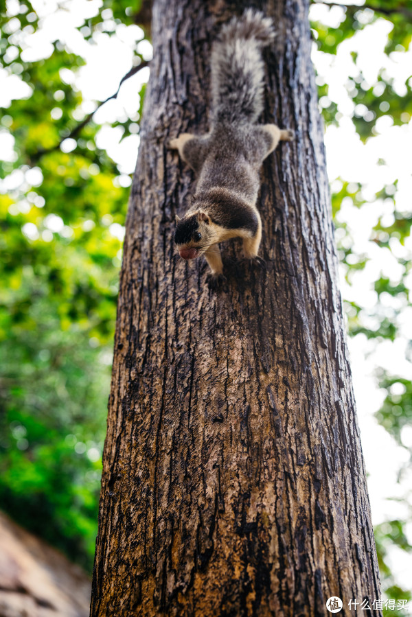 SIGMA 40mm  F 1.4 Art   |     F 2.2  1/800s  ISO 640