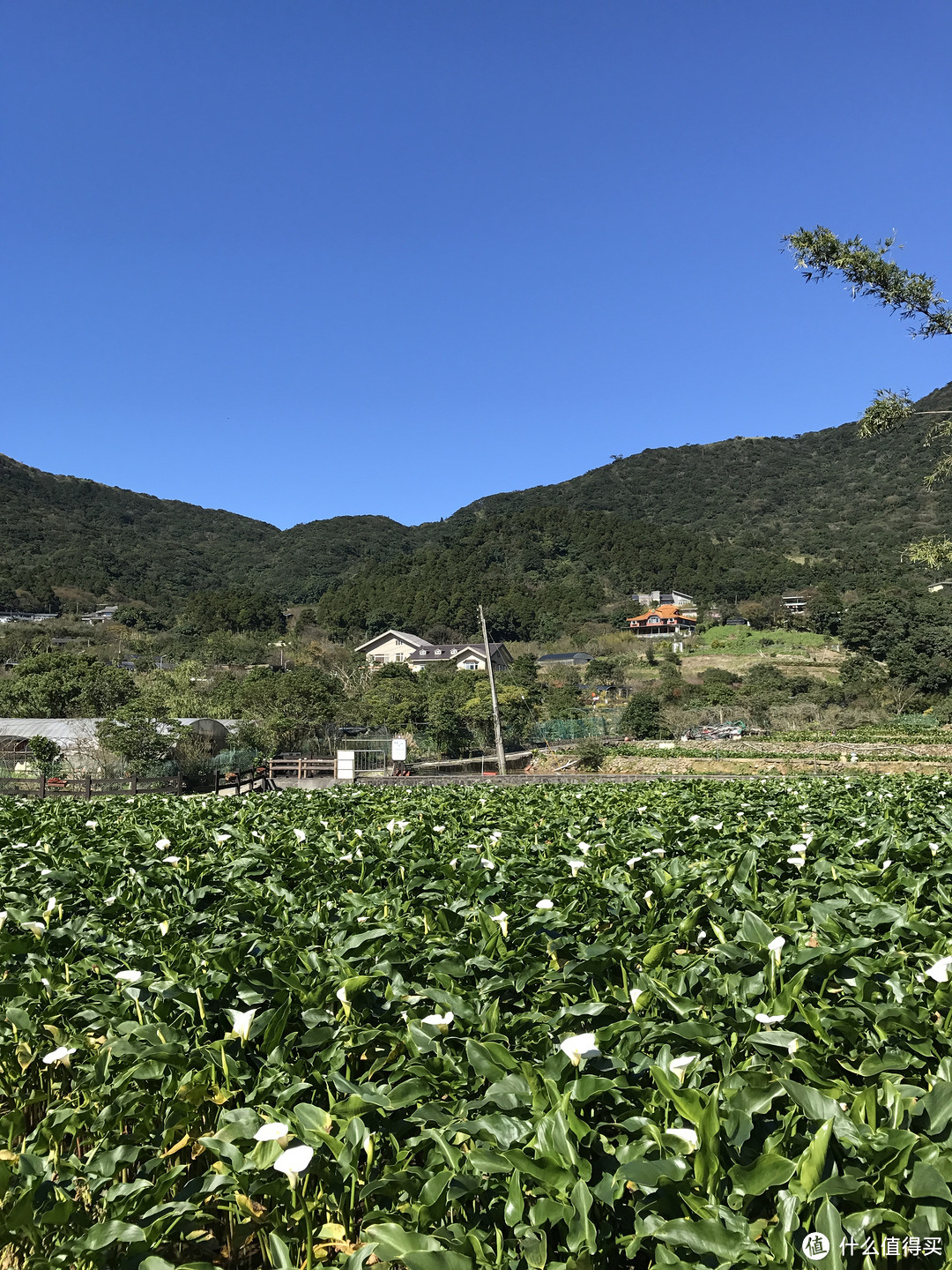 2018台湾圣诞游