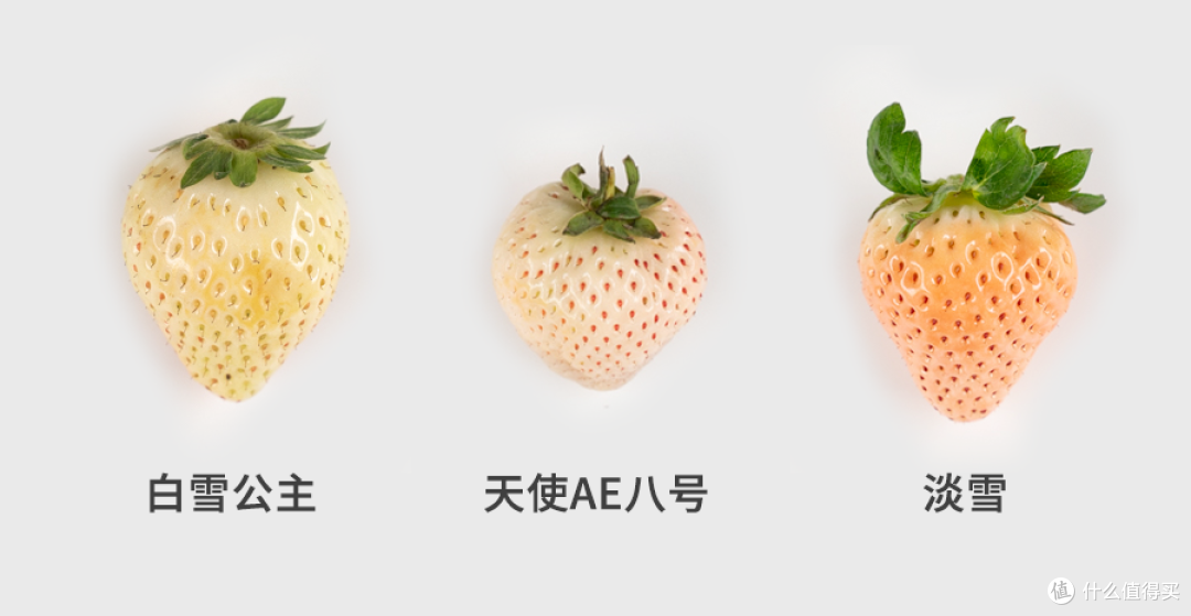 一口气又吃了2000块钱草莓,吃完我傻眼了...