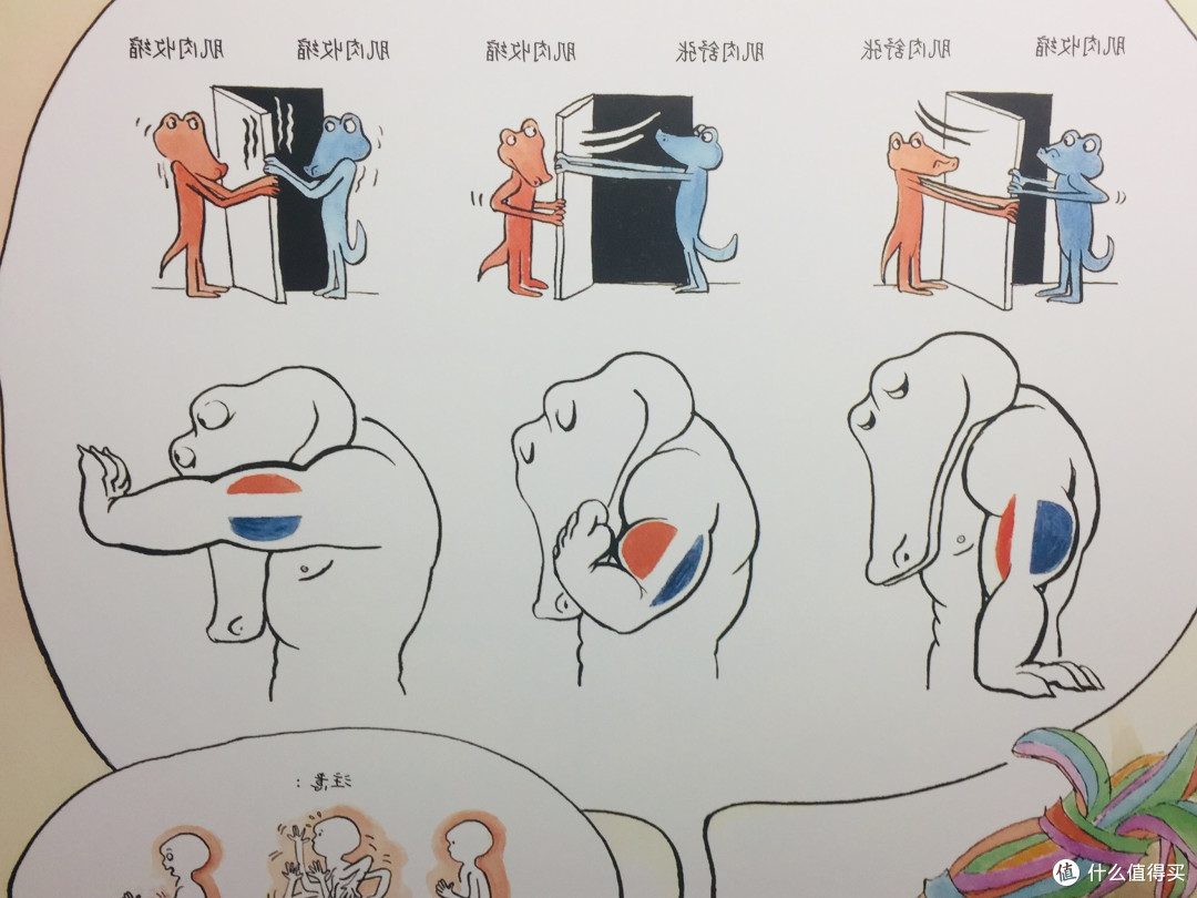 想让孩子了解人体奥秘，不如亲手做个哥哥呀