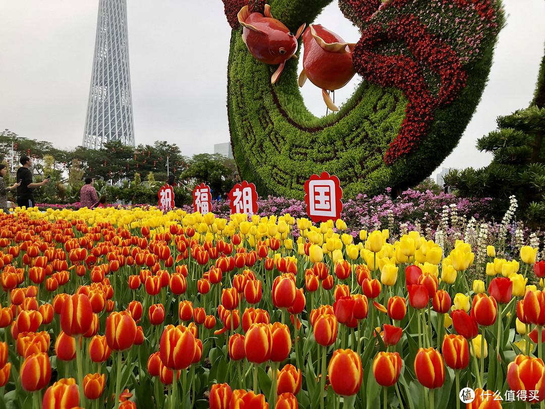 一人行 广州顺德澳门的2019新年