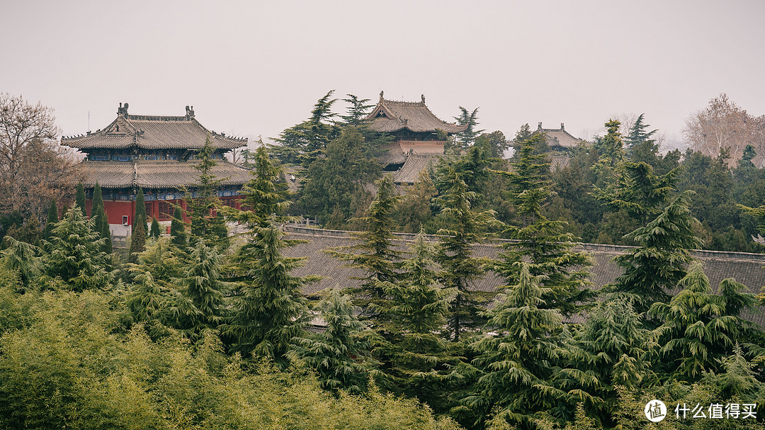 游龙门赏白马——洛阳烟火，一望千年