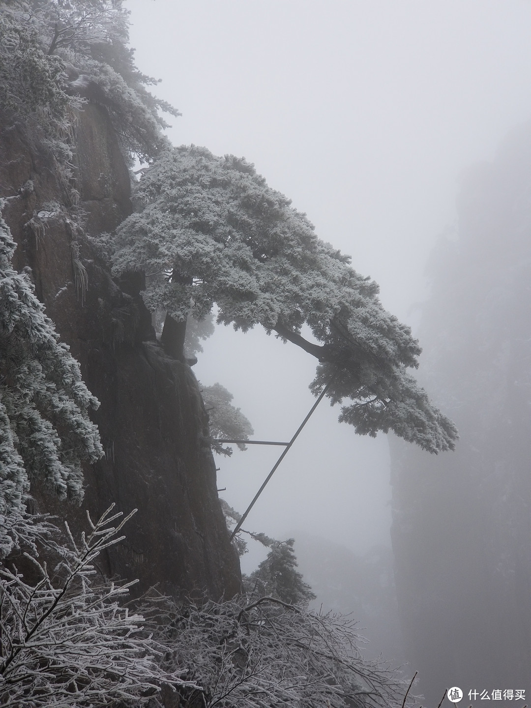 杭州出发能否一日游黄山？冬日黄山游记分享