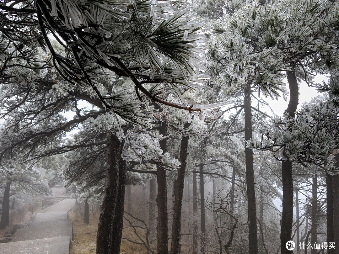 杭州出发能否一日游黄山？冬日黄山游记分享