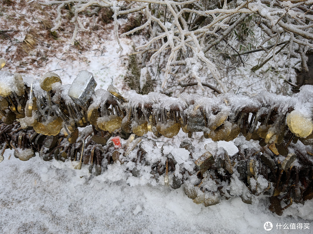 杭州出发能否一日游黄山？冬日黄山游记分享