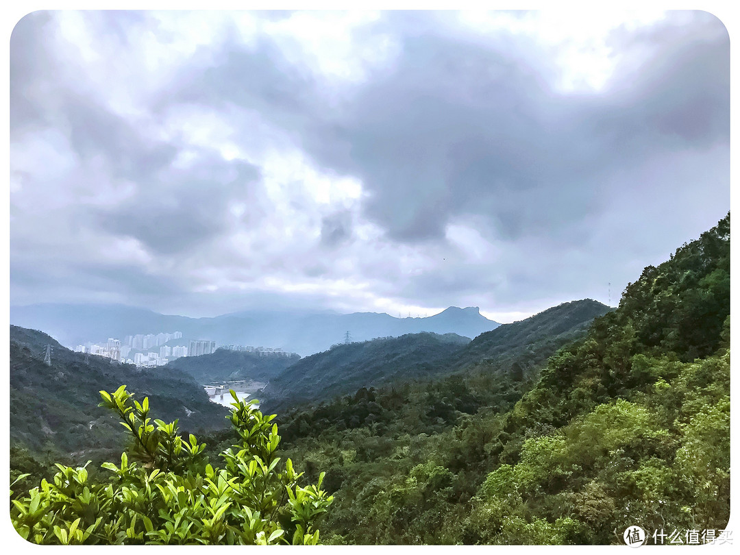 针山遥望狮子山