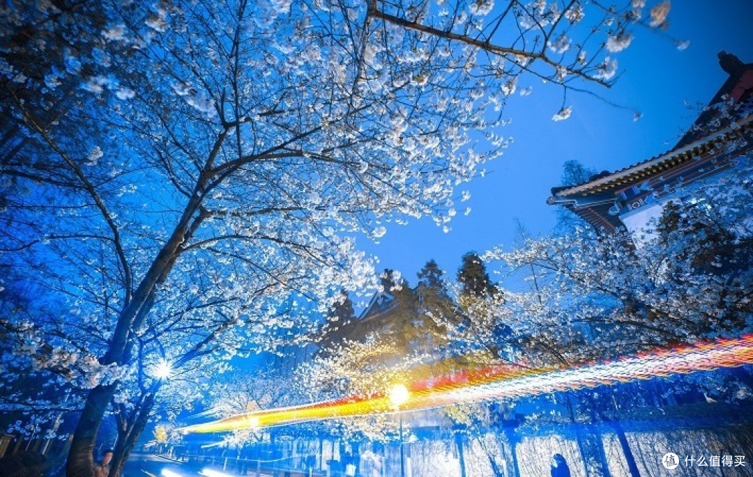 春游景点推荐 — 好花不常开,好景不常在,春天才能欣赏到的美景