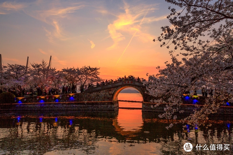 江浙沪的5A赏樱胜地，距杭州、上海不足3小时车程，世界三大赏樱地之一