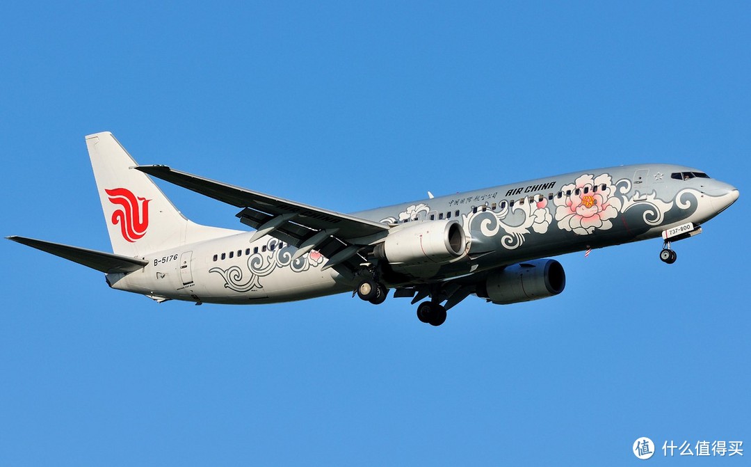 B-5176  B737-800，银牡丹（原福娃号）