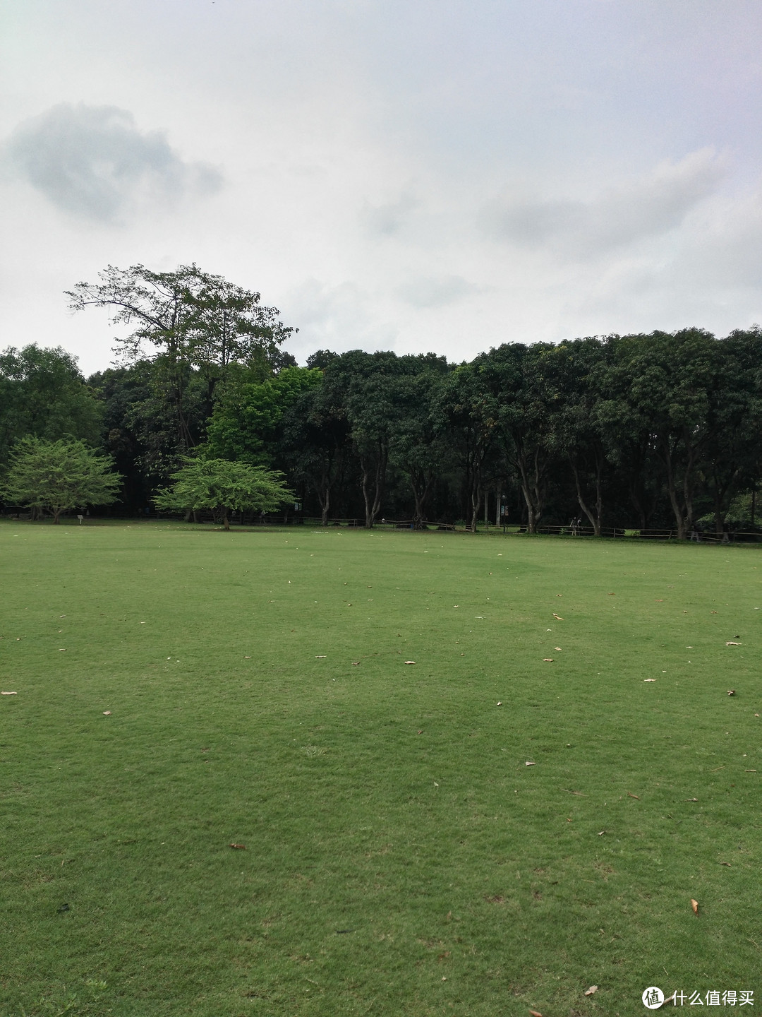 天河悠悠岁月，绿植勃勃生机