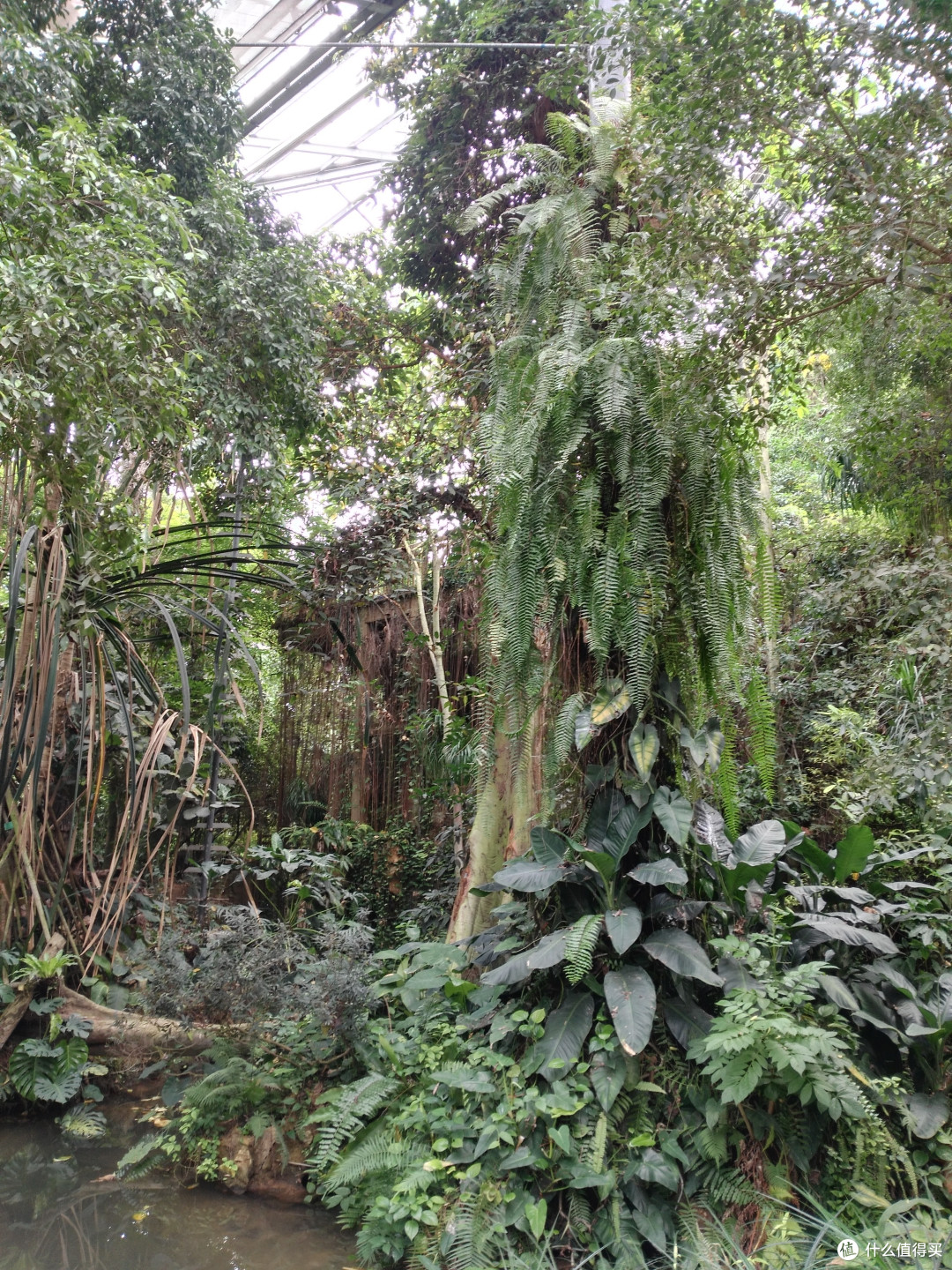 天河悠悠岁月，绿植勃勃生机