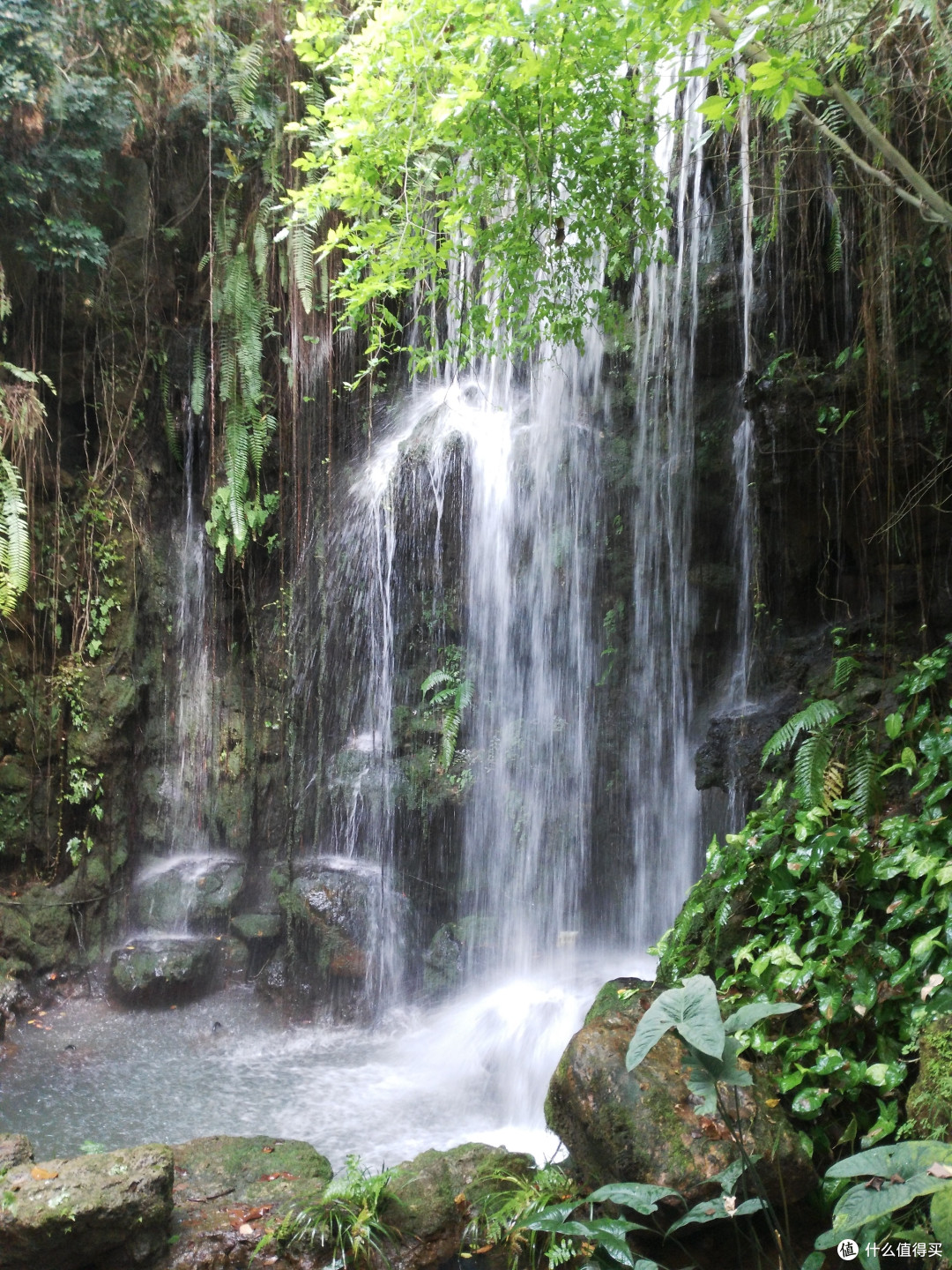 天河悠悠岁月，绿植勃勃生机