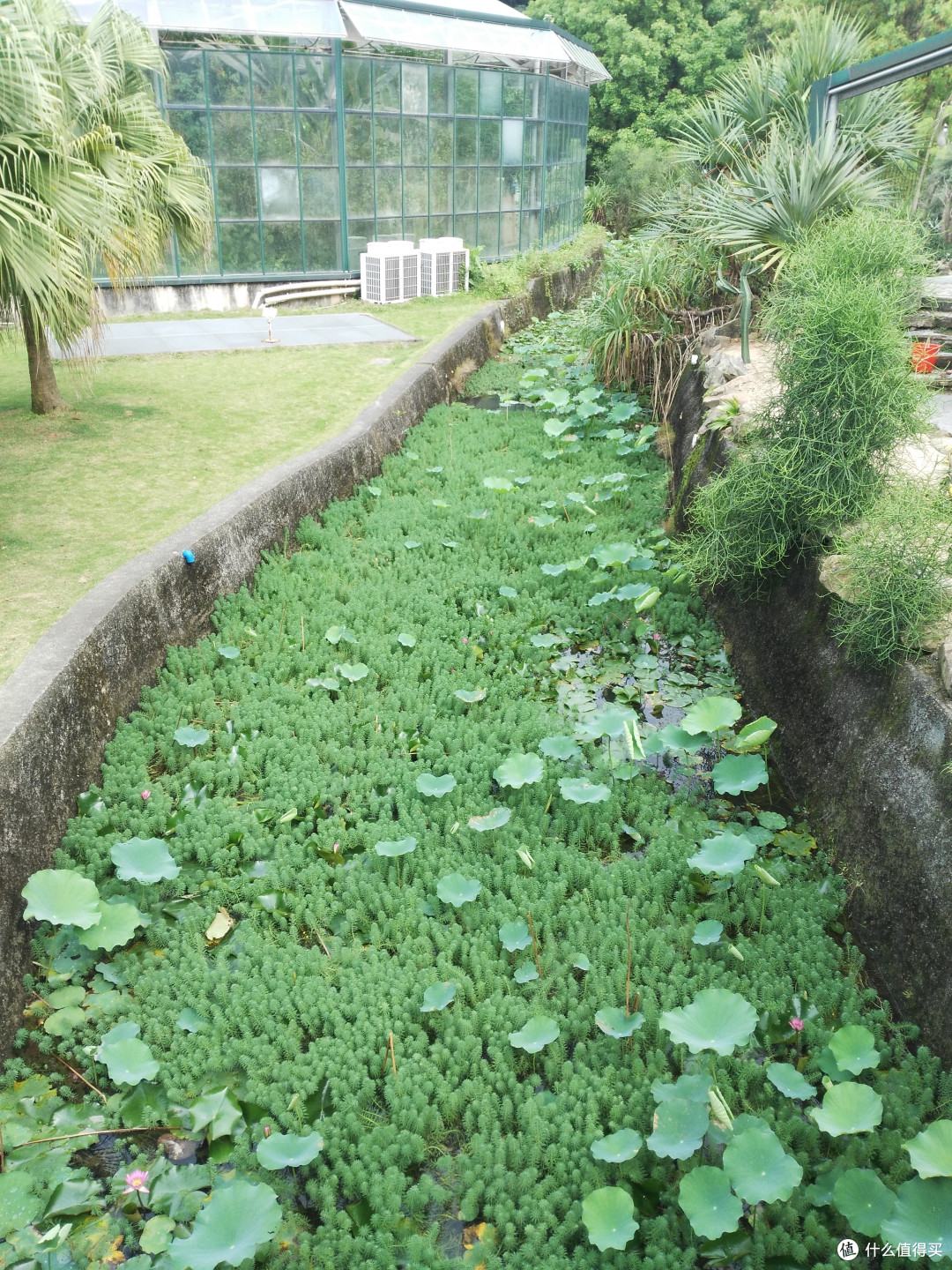 天河悠悠岁月，绿植勃勃生机