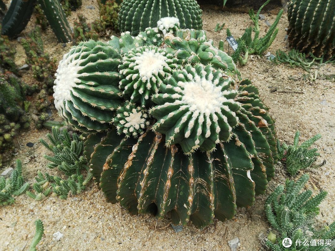 天河悠悠岁月，绿植勃勃生机