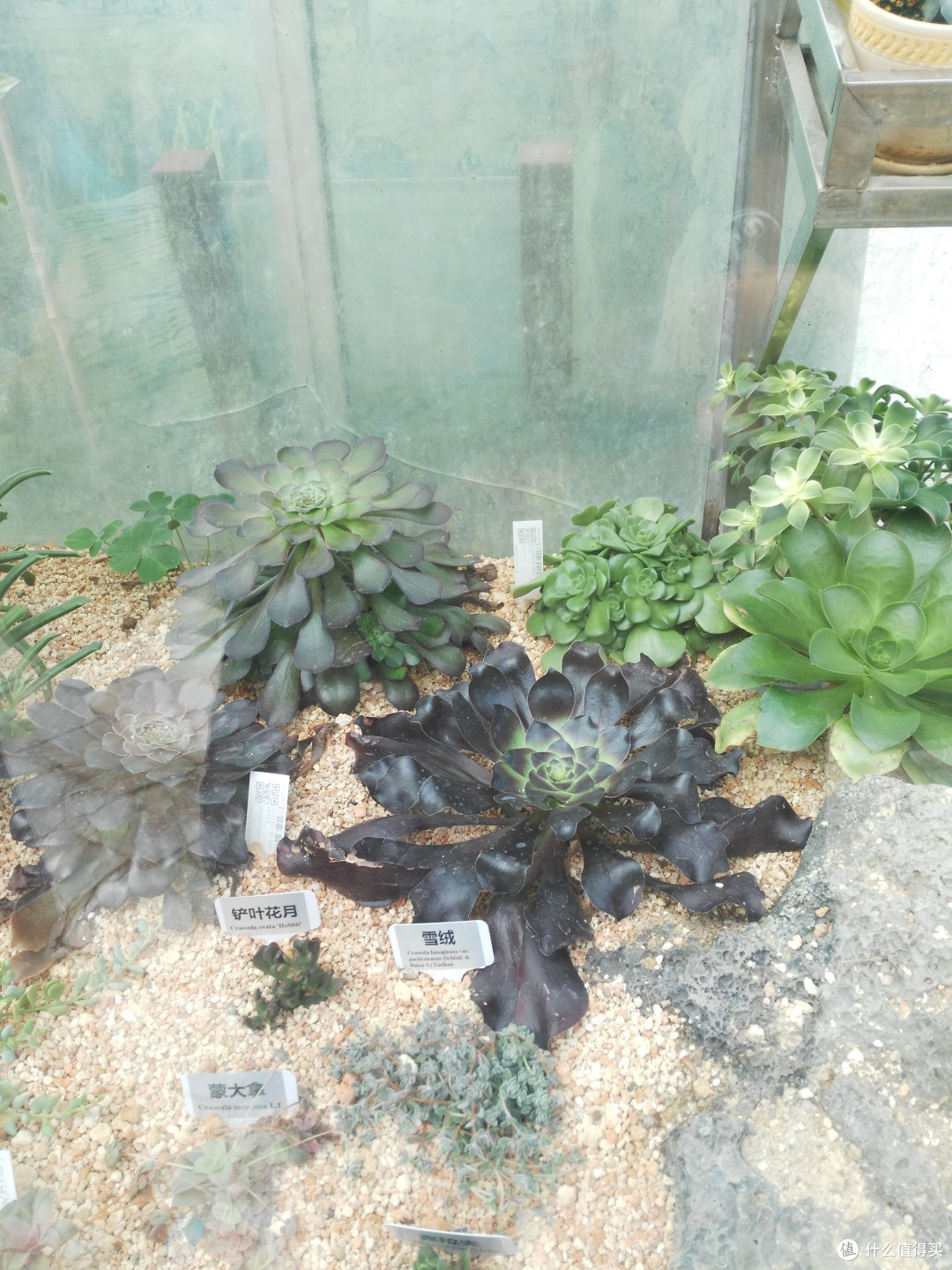 天河悠悠岁月，绿植勃勃生机