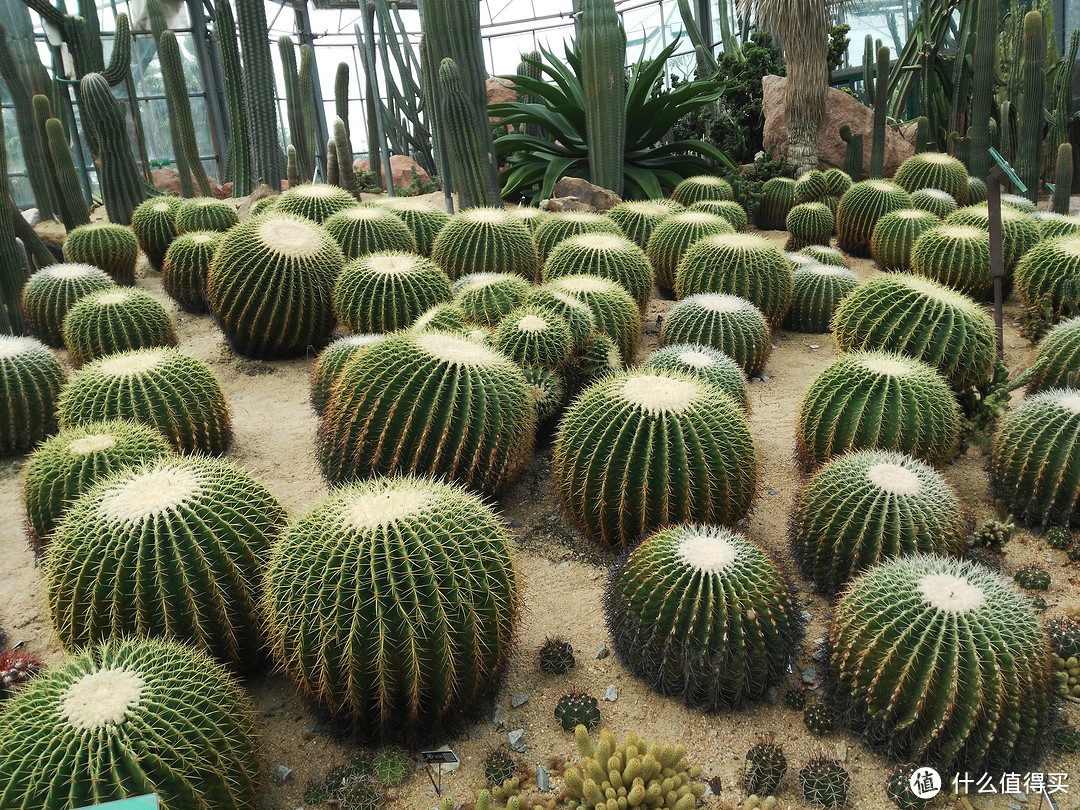 天河悠悠岁月，绿植勃勃生机