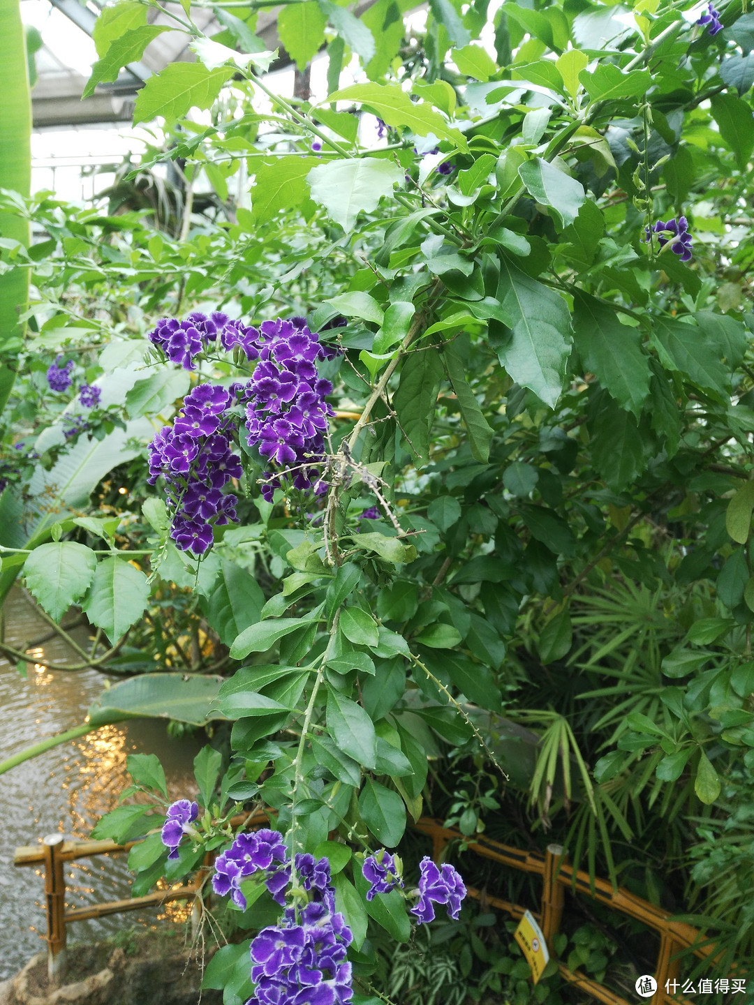 天河悠悠岁月，绿植勃勃生机