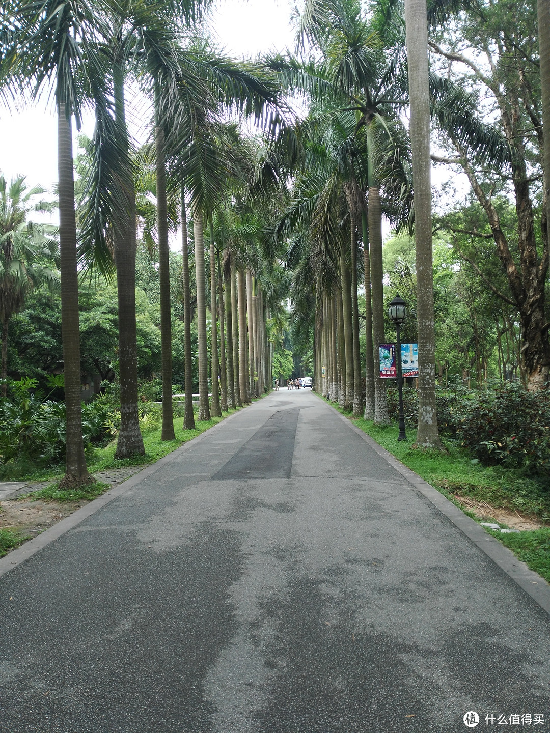 天河悠悠岁月，绿植勃勃生机