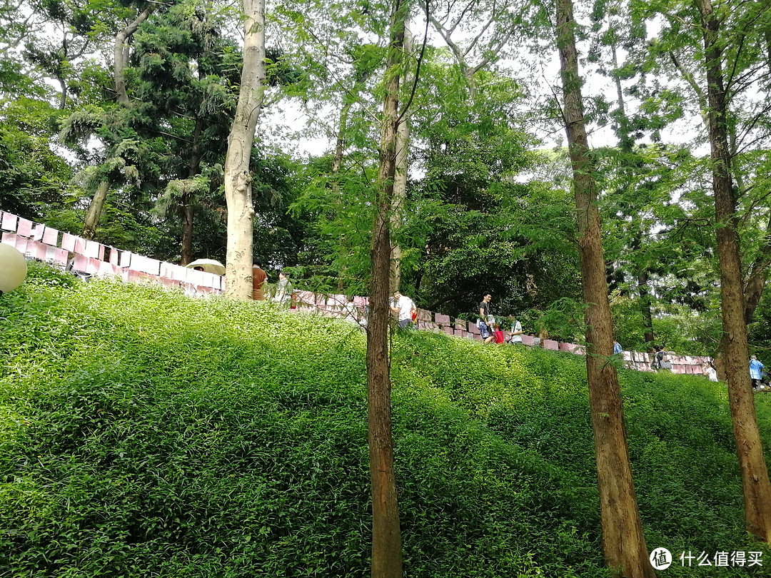 天河悠悠岁月，绿植勃勃生机