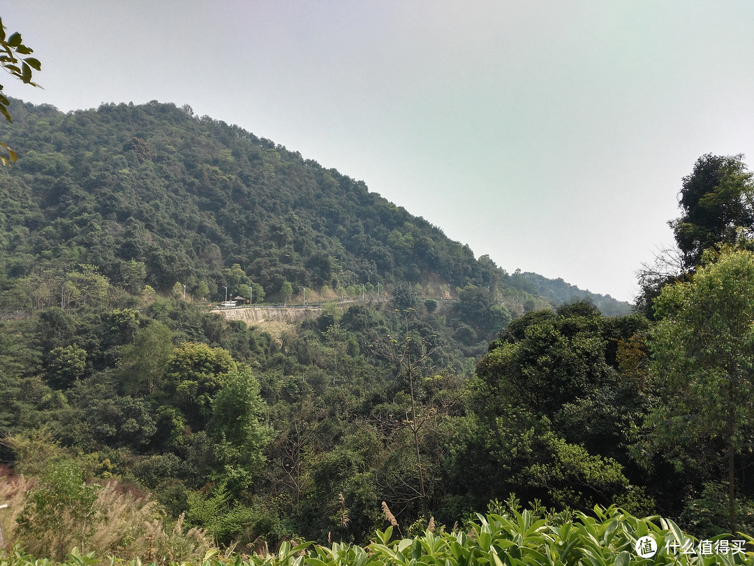 天河悠悠岁月，绿植勃勃生机