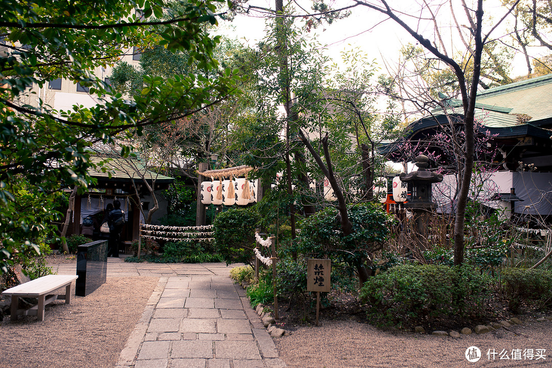 堀越神社里面有很多的树木，年头也比较久了。