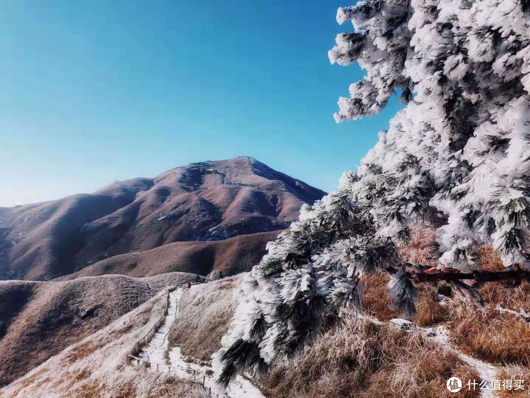 登山装备之—护膝篇