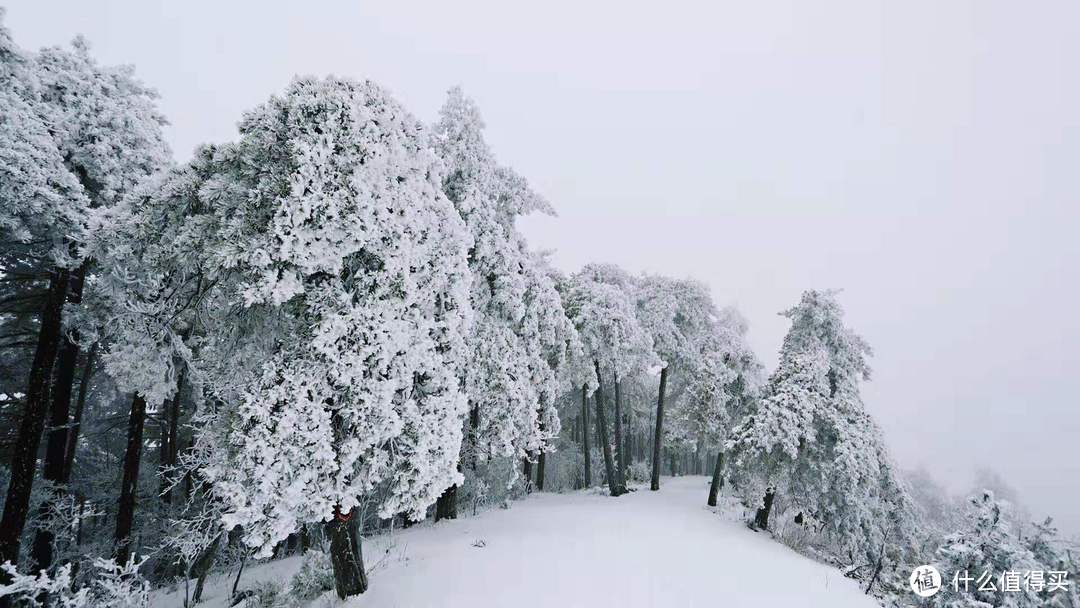 登山装备之—护膝篇