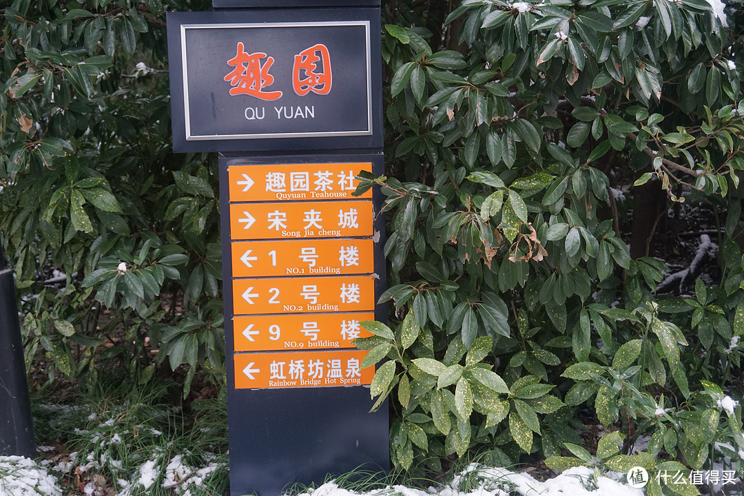 自己选的早茶,含泪也要吃完,记一次扬州一日游