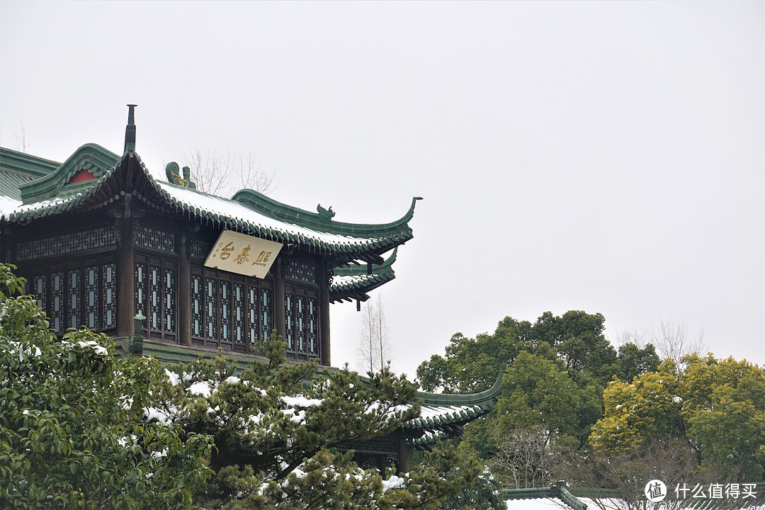 自己选的早茶，含泪也要吃完，记一次扬州一日游