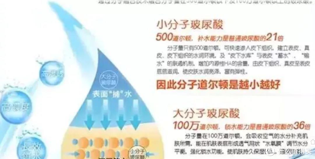 知否知否：明星成分玻尿酸，搞不好会促衰老！