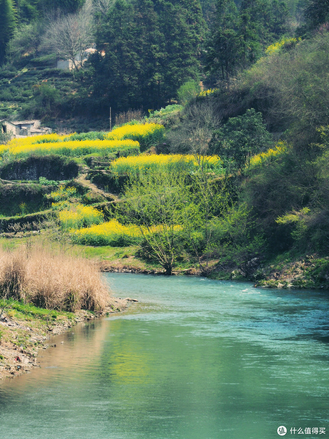 春心荡漾去皖南来一趟最文艺的油菜花之旅