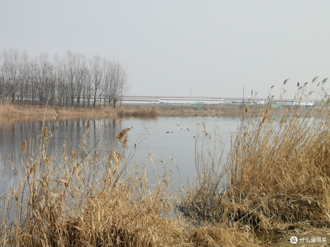 这一路的江河湖泊与城市风光拾遗——猪年游记之风光篇