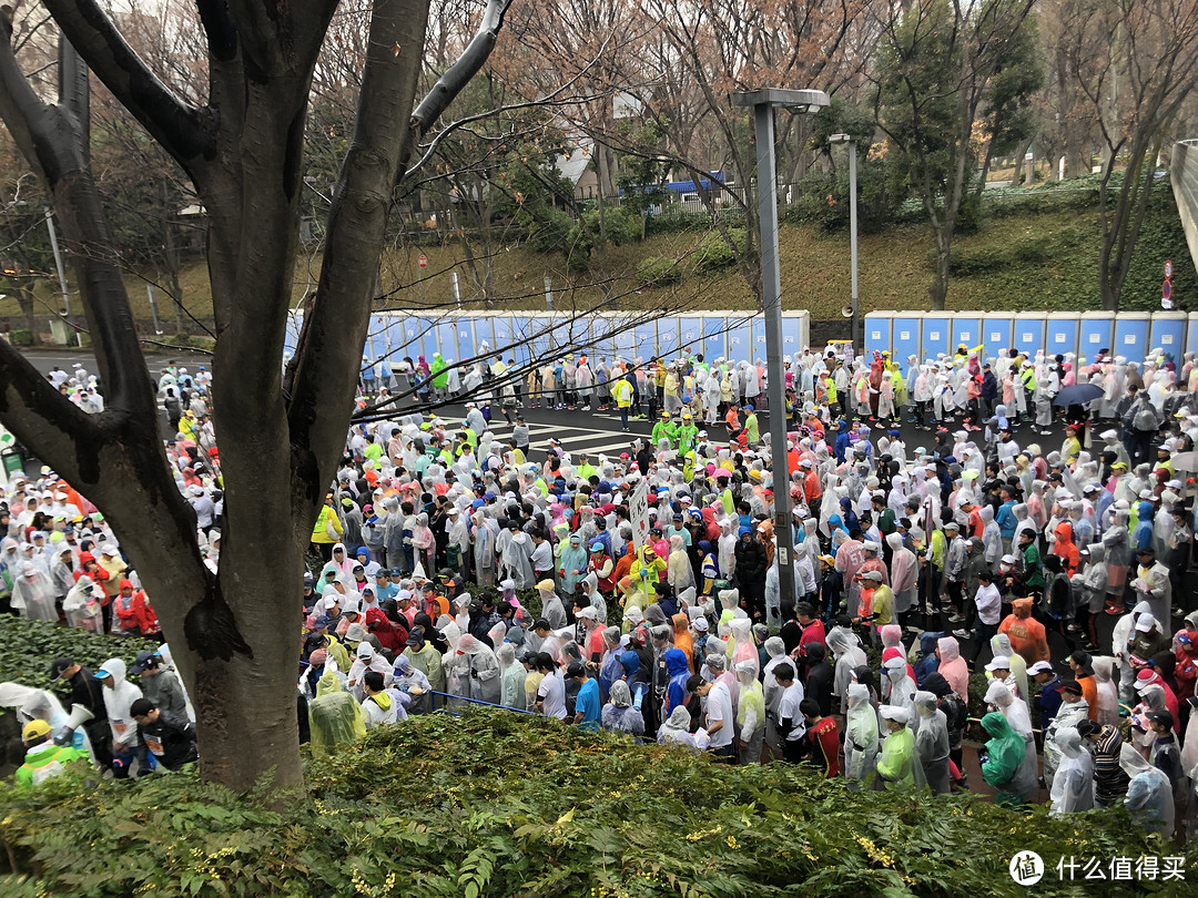 为每一个平凡人的努力加油—2019东京马拉松图文全记录