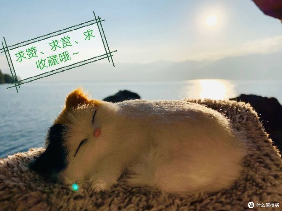 盘点那些我看过的精彩日剧/电影